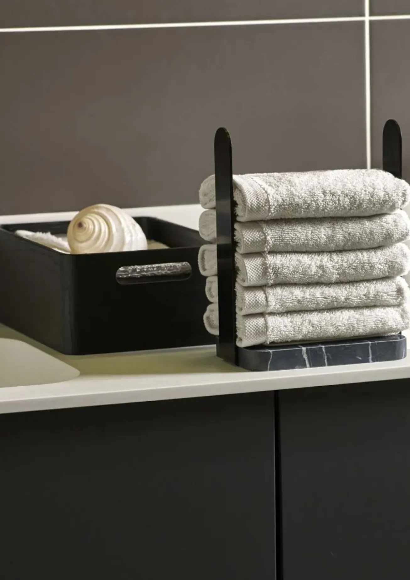 Bath & Living Aquanova Storage box rectangle COLE color