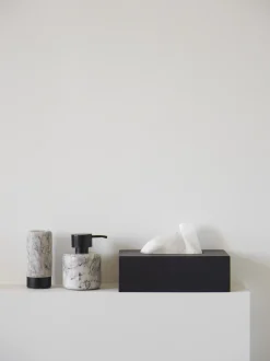 Bath & Living Aquanova Tissue holder COLE color