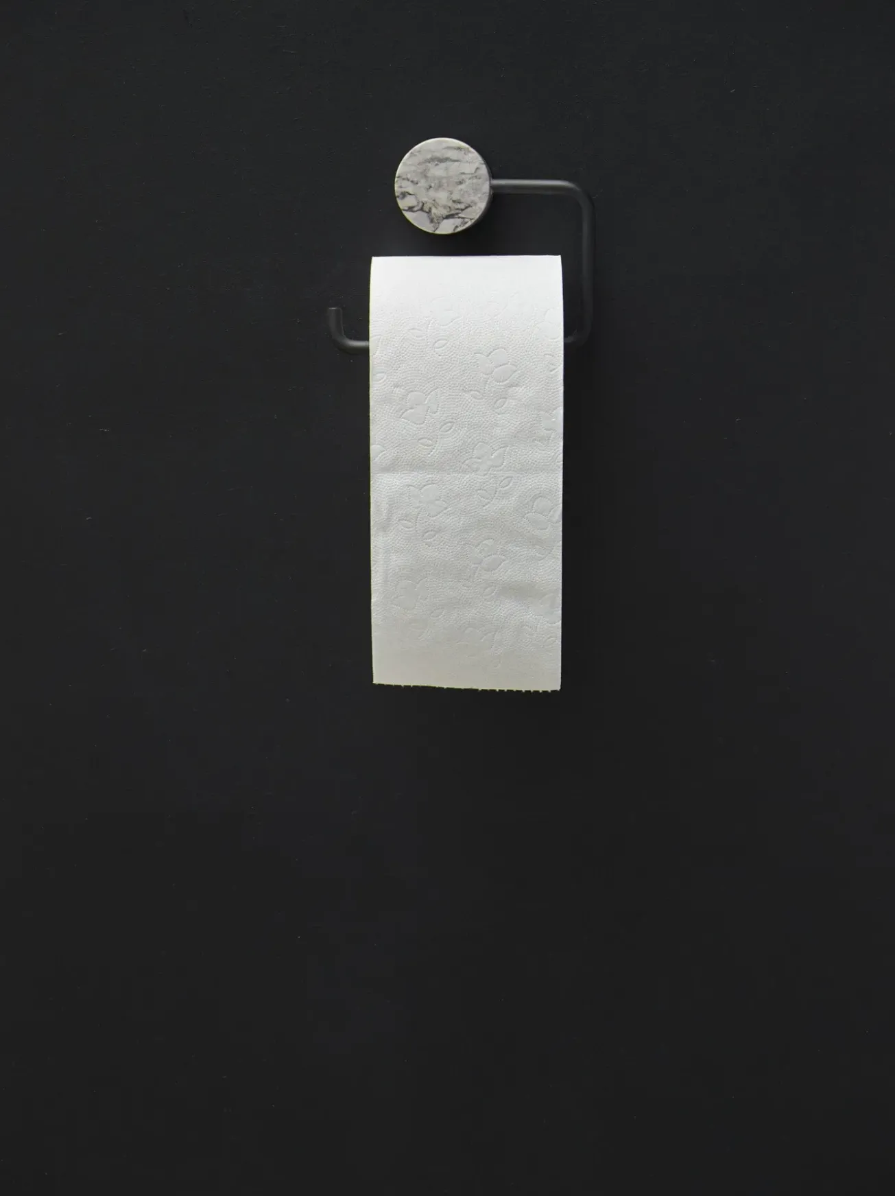 Bath & Living Aquanova Toilet roll holder NERO color Alba (gray)