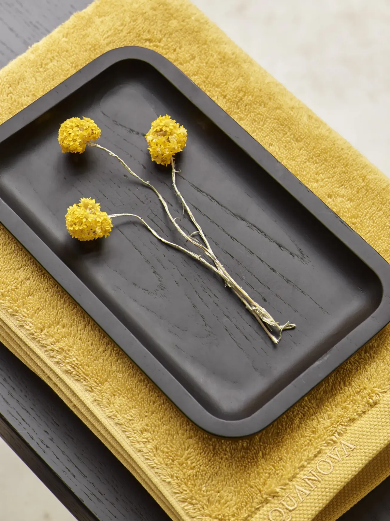 Bath & Living Aquanova Tray rectangle COLE color