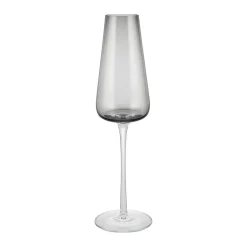Bath & Living Blomus BELO champagne glasses (set/2) 64277