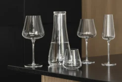Bath & Living Blomus BELO coupe champagne glasses (set/6) 64396