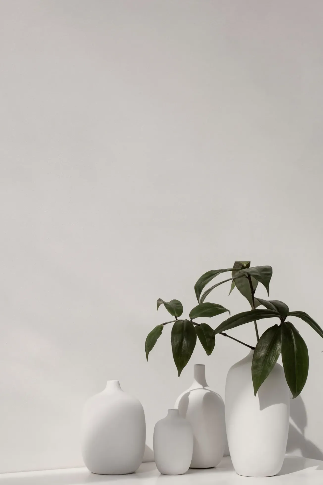 Bath & Living Blomus CEOLA vase 25 cm - color (66168)