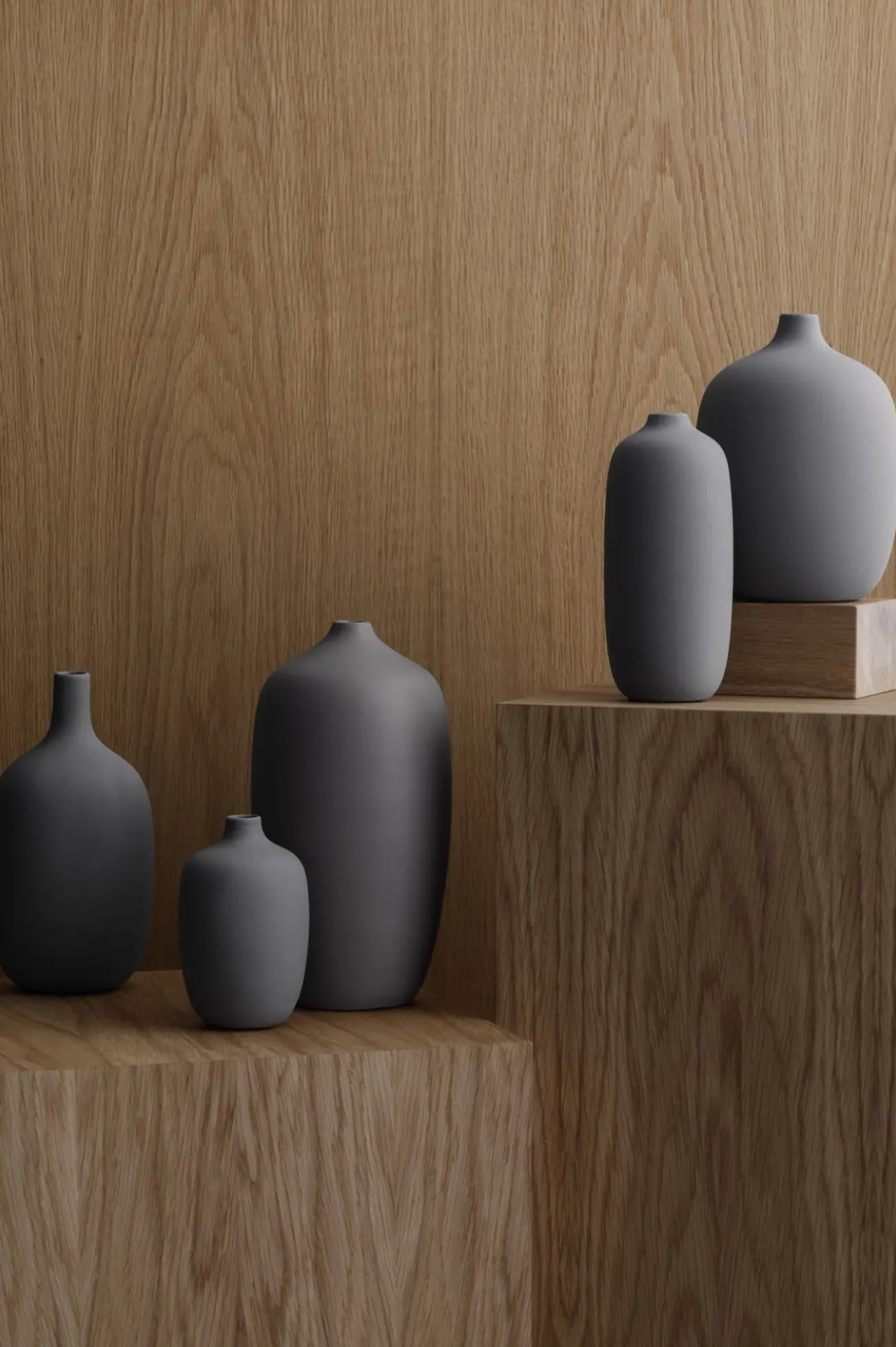 Bath & Living Blomus CEOLA vase 25 cm - color (66243)