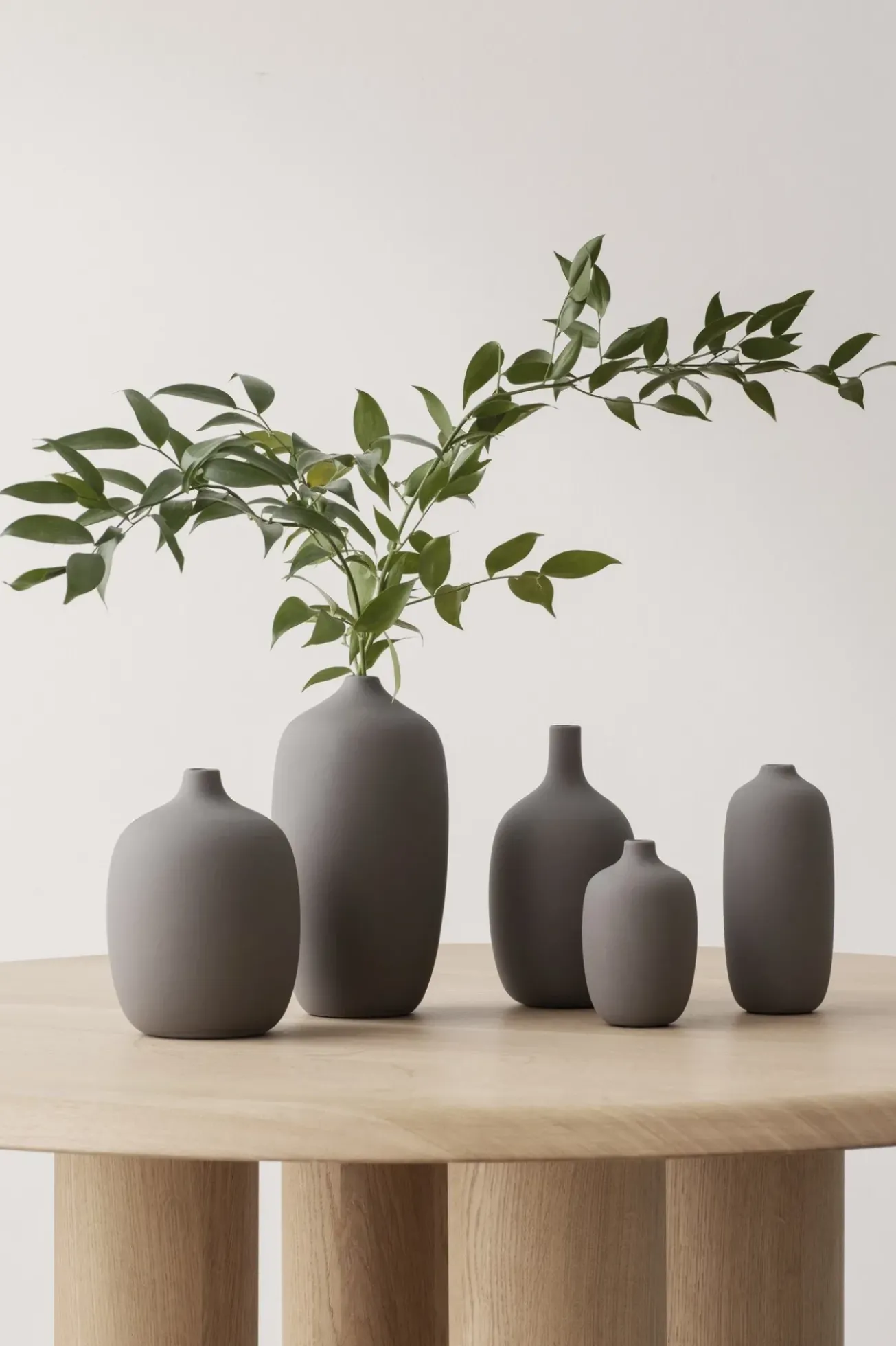 Bath & Living Blomus CEOLA vase 18.5 cm - color (66244)