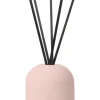 Bath & Living Blomus FRAGA fragrance sticks Fig (100 ml) 69220
