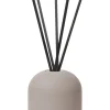 Bath & Living Blomus FRAGA fragrance sticks Royal Leather (100 ml) 69230