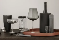Bath & Living Blomus ILO wine accessories color set/2 - 64263