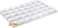 Bath & Living Vandyck Duvet 90% down ASTRO solo (BE001 510)