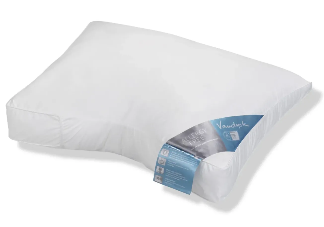 Bath & Living Vandyck Pillow ALLERGY FREE medium (washable) BFAF13203