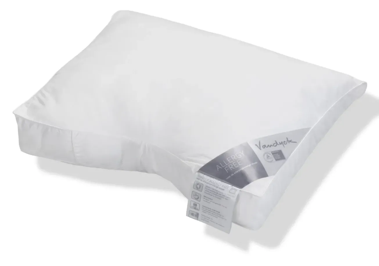 Bath & Living Vandyck Pillow ALLERGY FREE soft (washable) BFAF13202