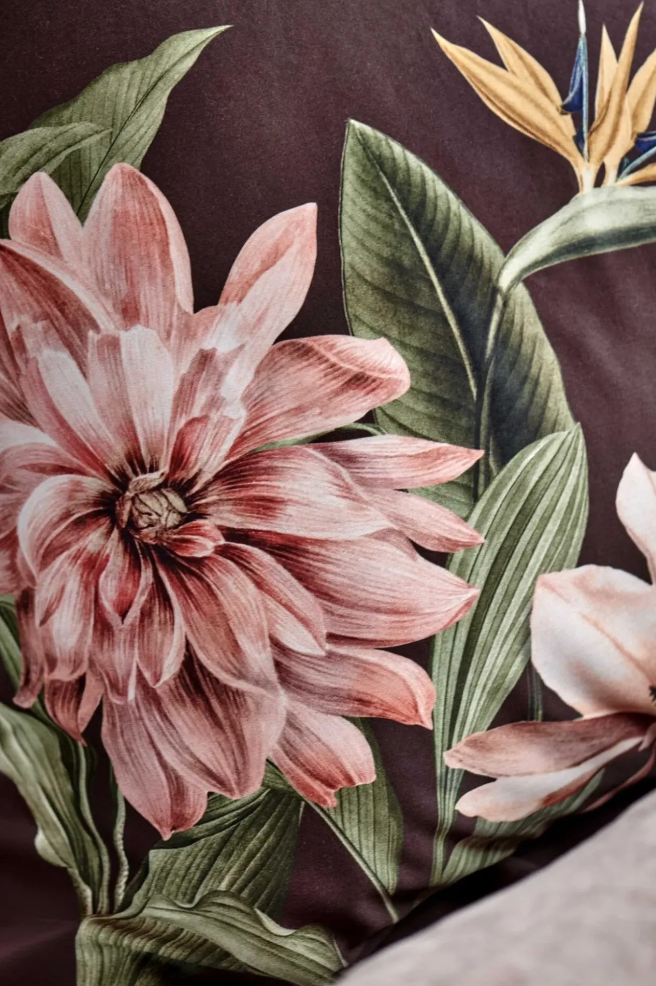 Bath & Living Vandyck Vandyck PARADISE BLOOM duvet cover Dark Chocolate 240x220 cm