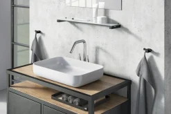 Bath & Living Zack CARVO towel hook double 40504 (powder-coated steel, )