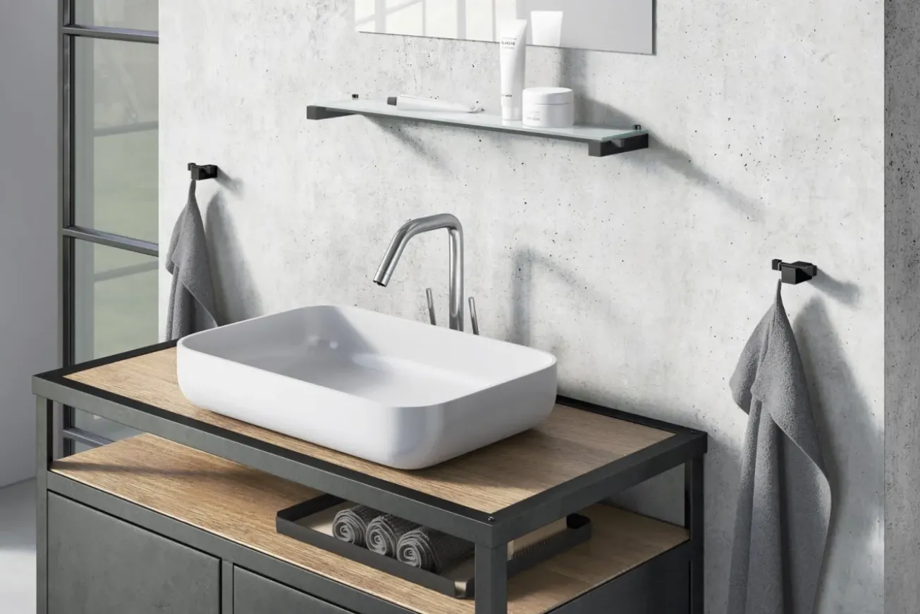 Bath & Living Zack CARVO towel hook double 40504 (powder-coated steel, )